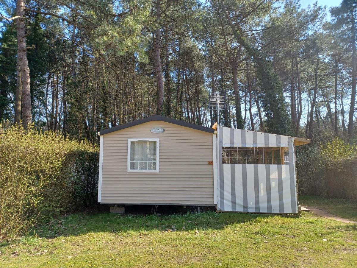 Camping La Dune Blanche Camiers Exteriör bild